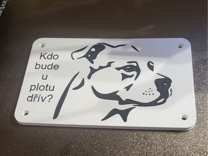 Pitbull na plot