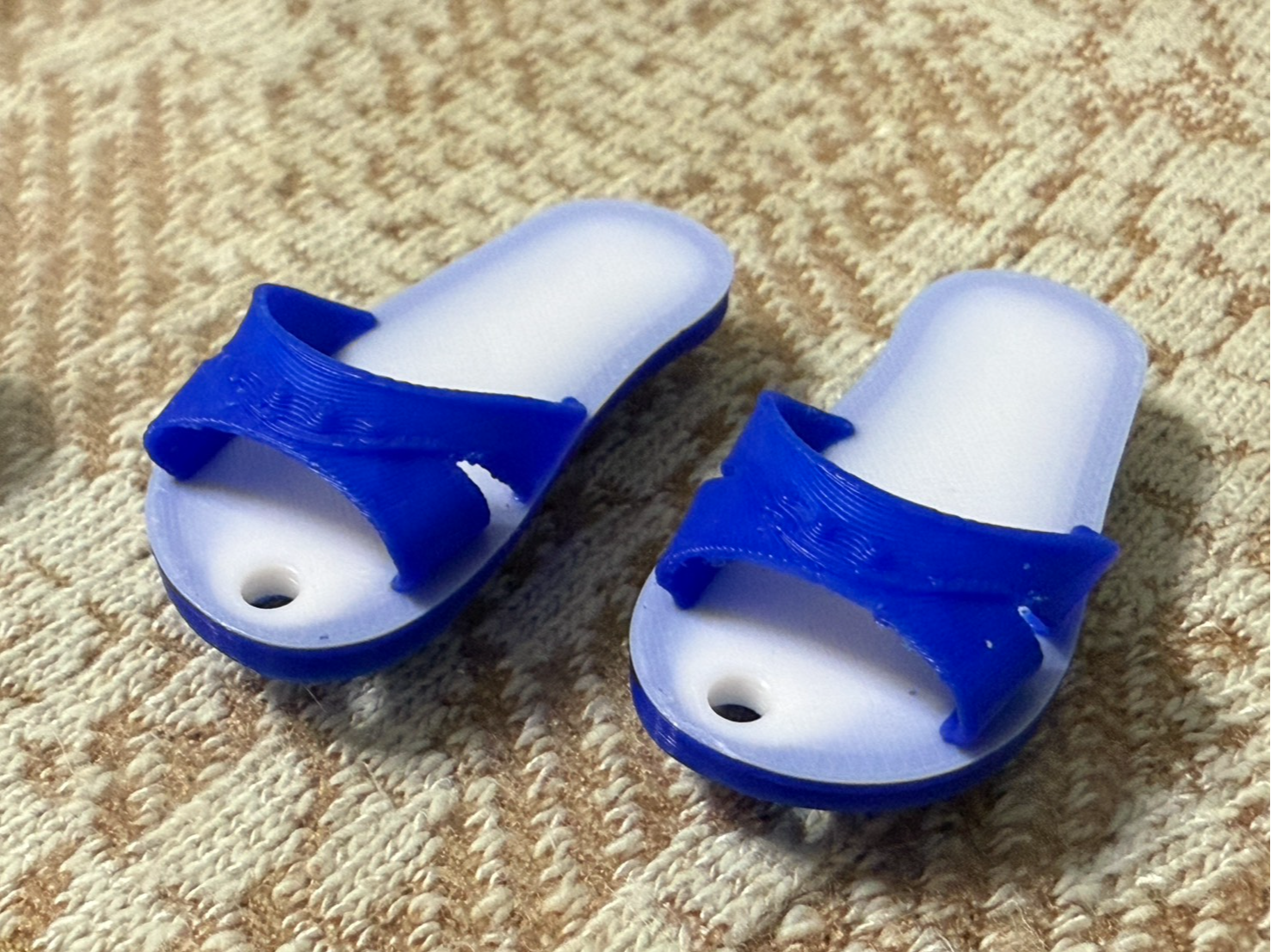 藍白拖 Blue and white slippers