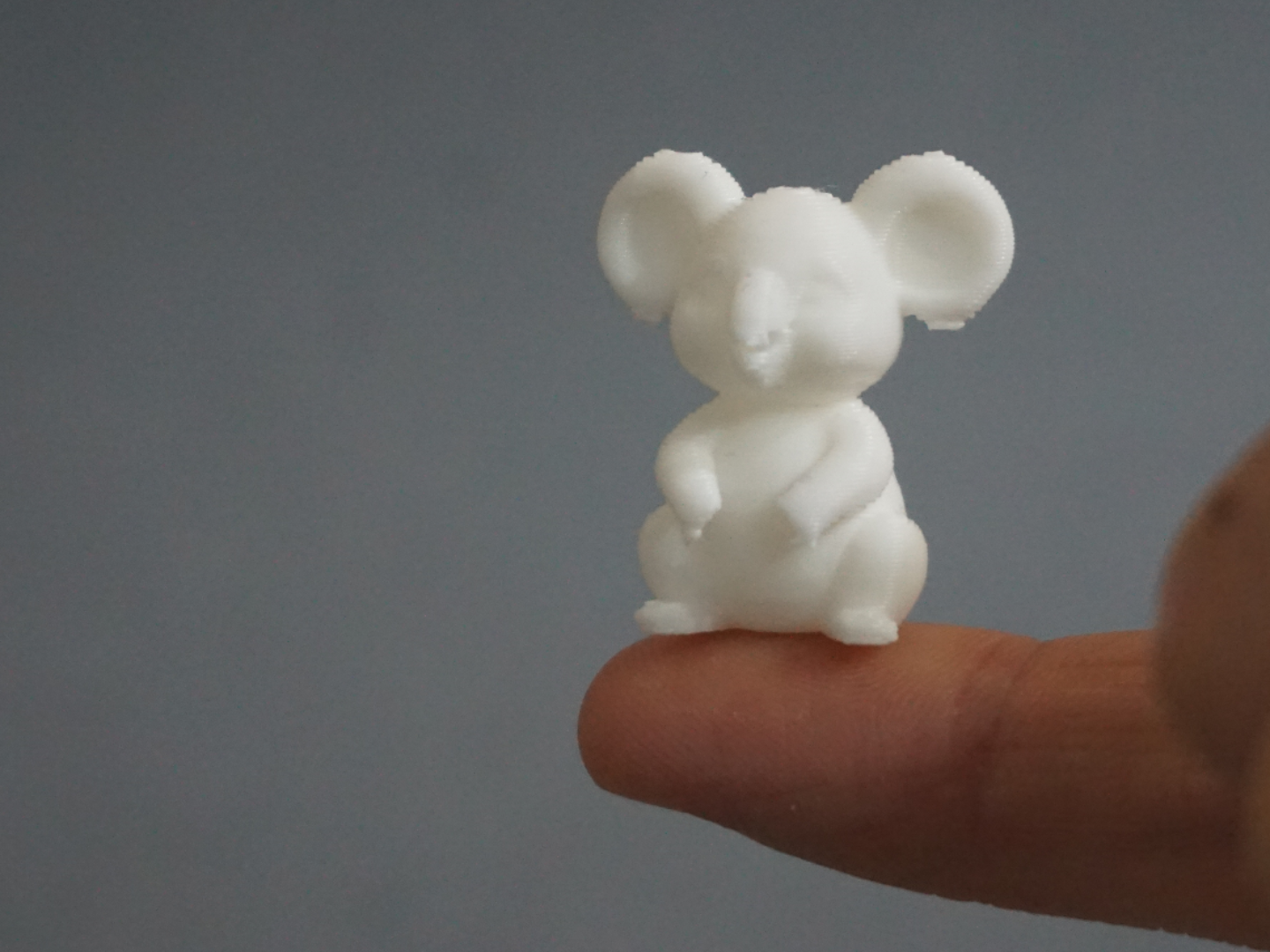 cute koala bear (from 30min, sizes vary)