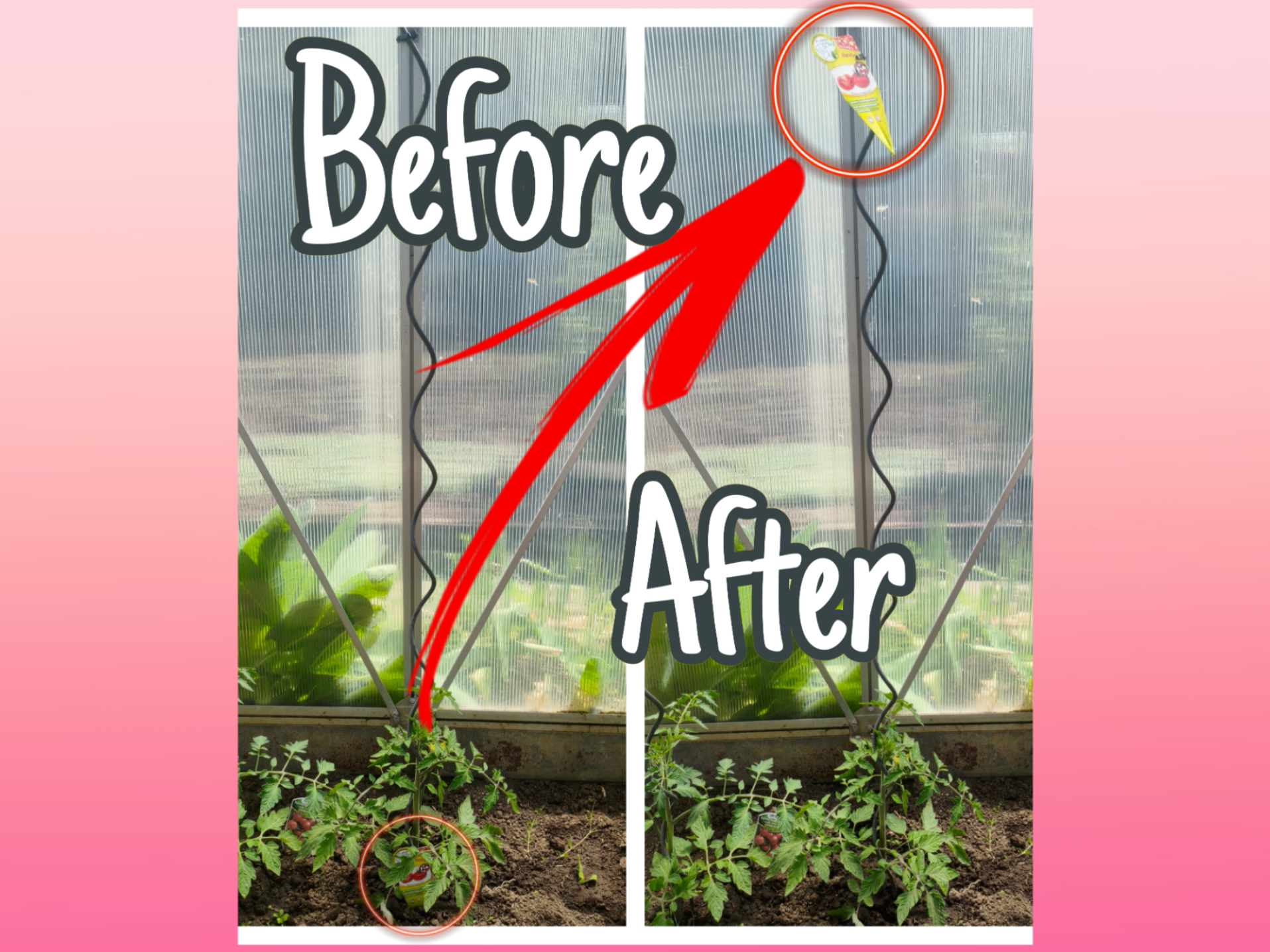 Plant Label Clip for Stakes (5–9mm) – Ultra Light