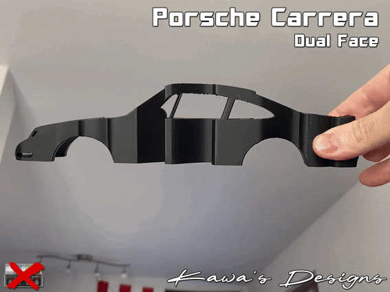 Porsche Carrera Dual Face