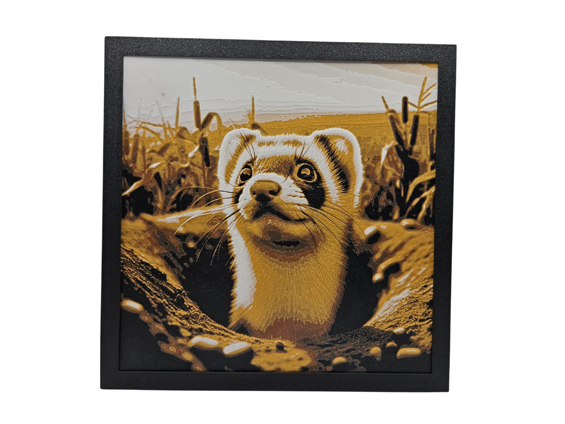 Prairie Ferret