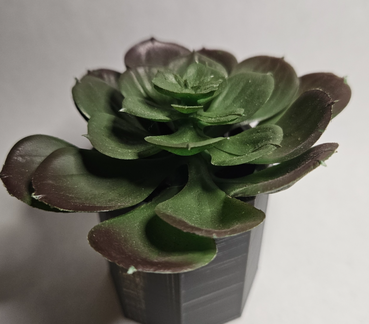 PlantPot