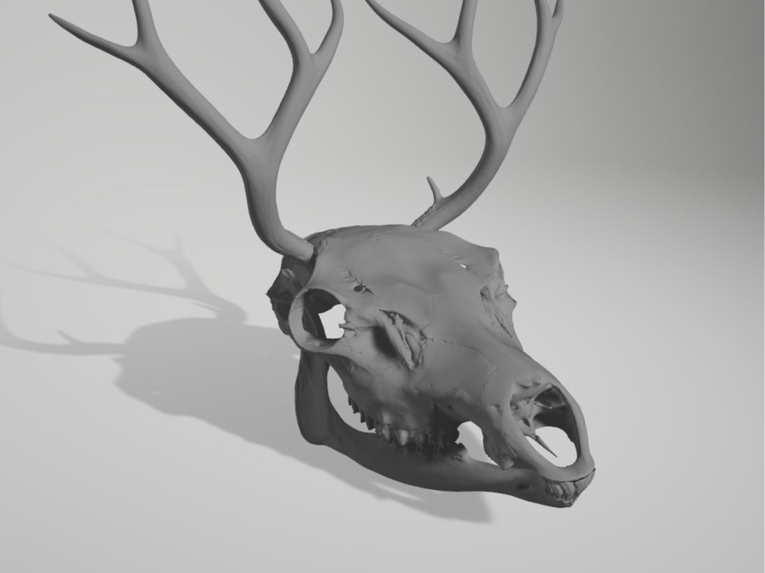 elk helmet movable jaw