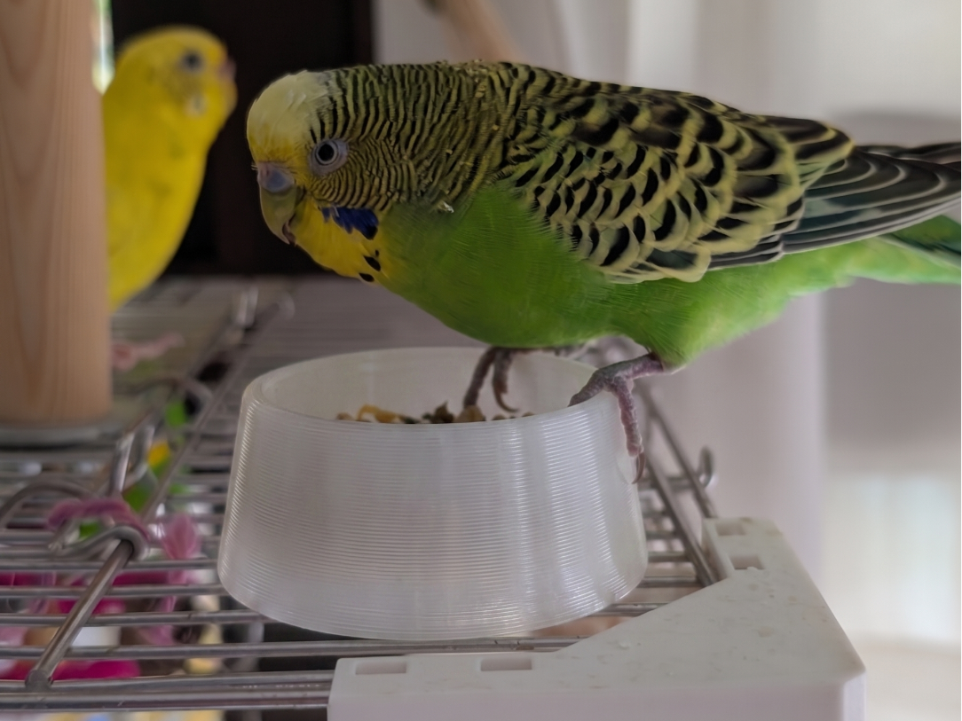 nti-Tip Low Center-of-Gravity Small Pet Bowl