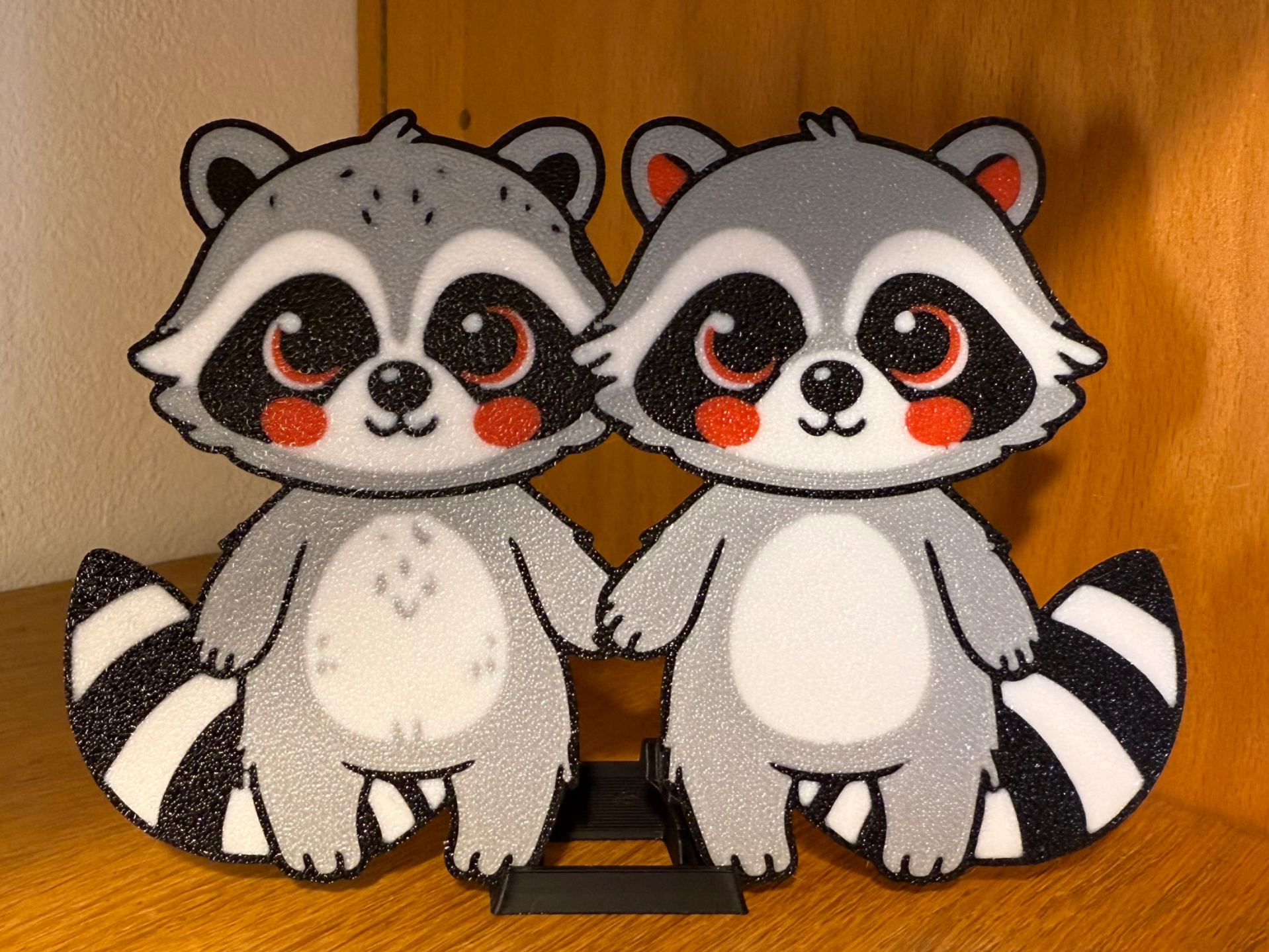 Cute Raccoon Couple
