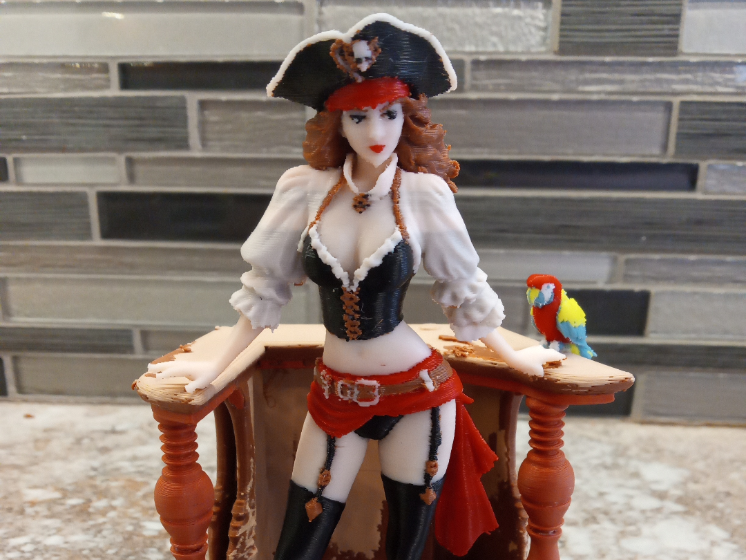 Lady Pirate