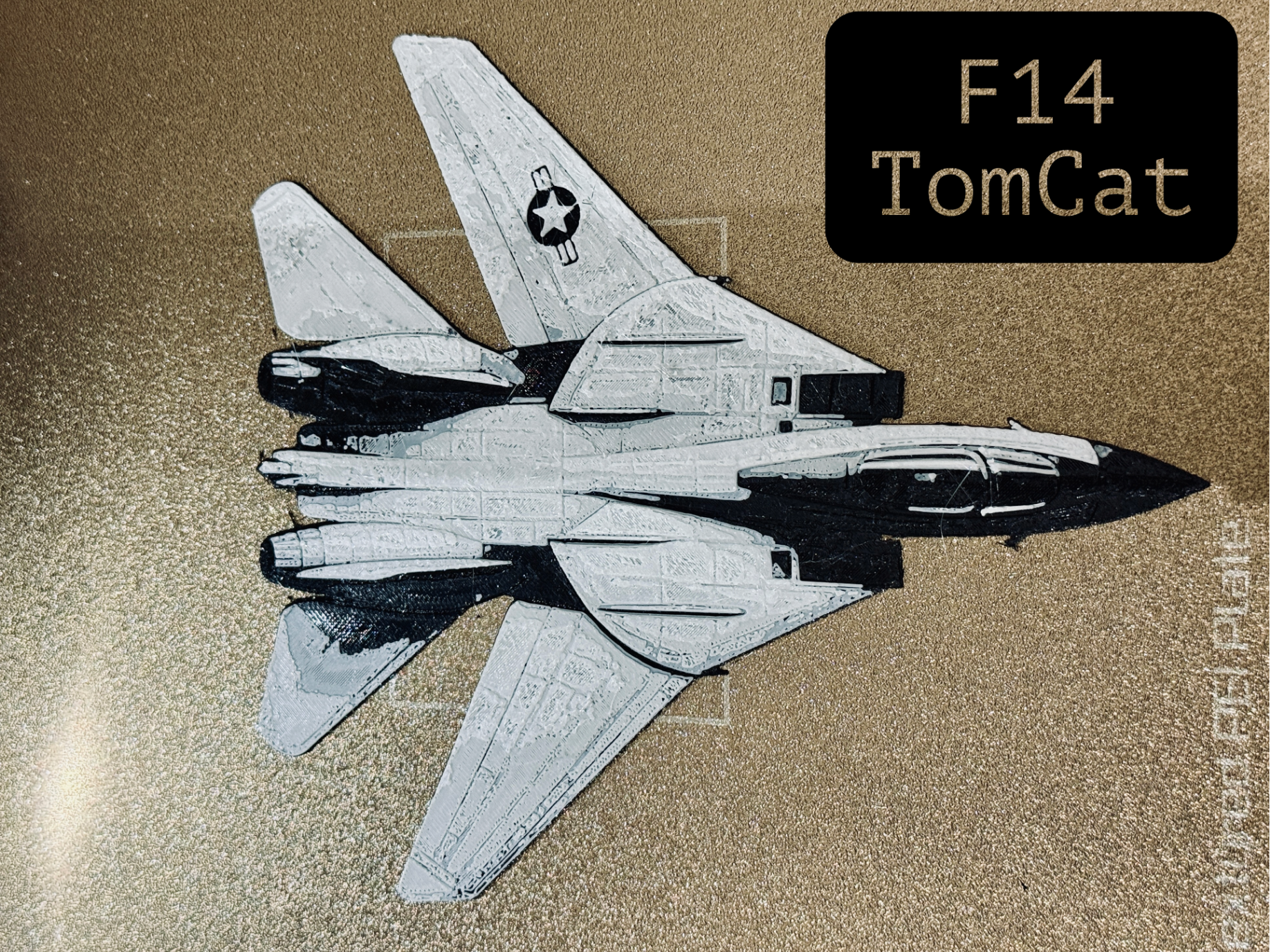 F-14 Tomcat – Top View 3D Model