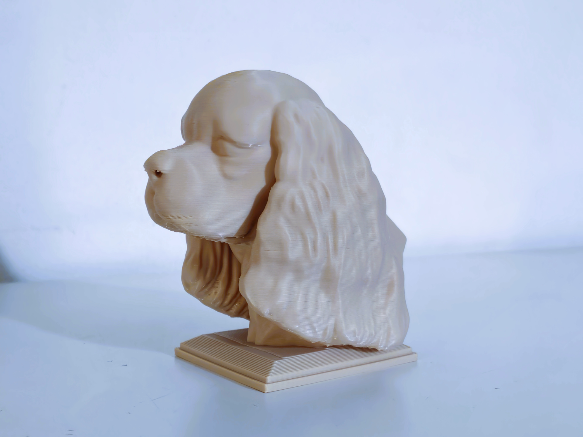 Cocker spaniel - dog head sculpture