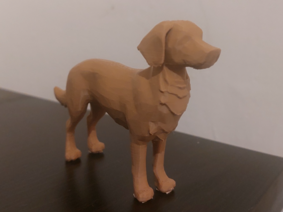 Nova Scotia Duck Tolling Retriever miniature