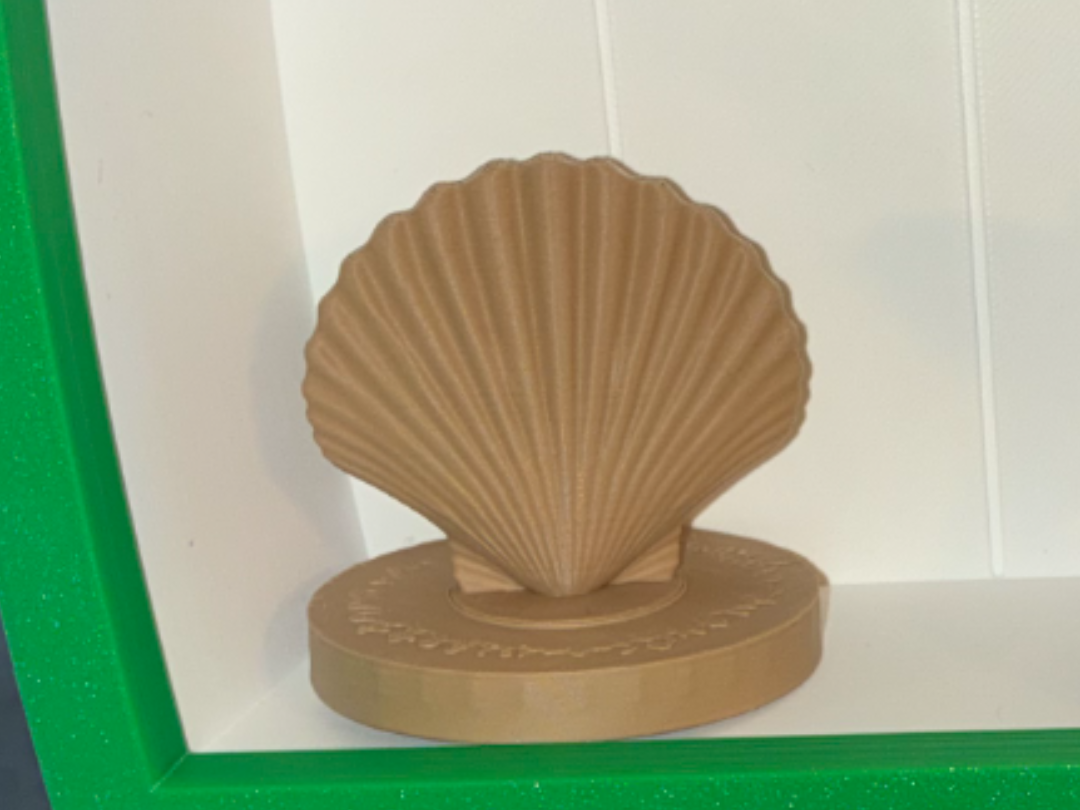 scallop shell