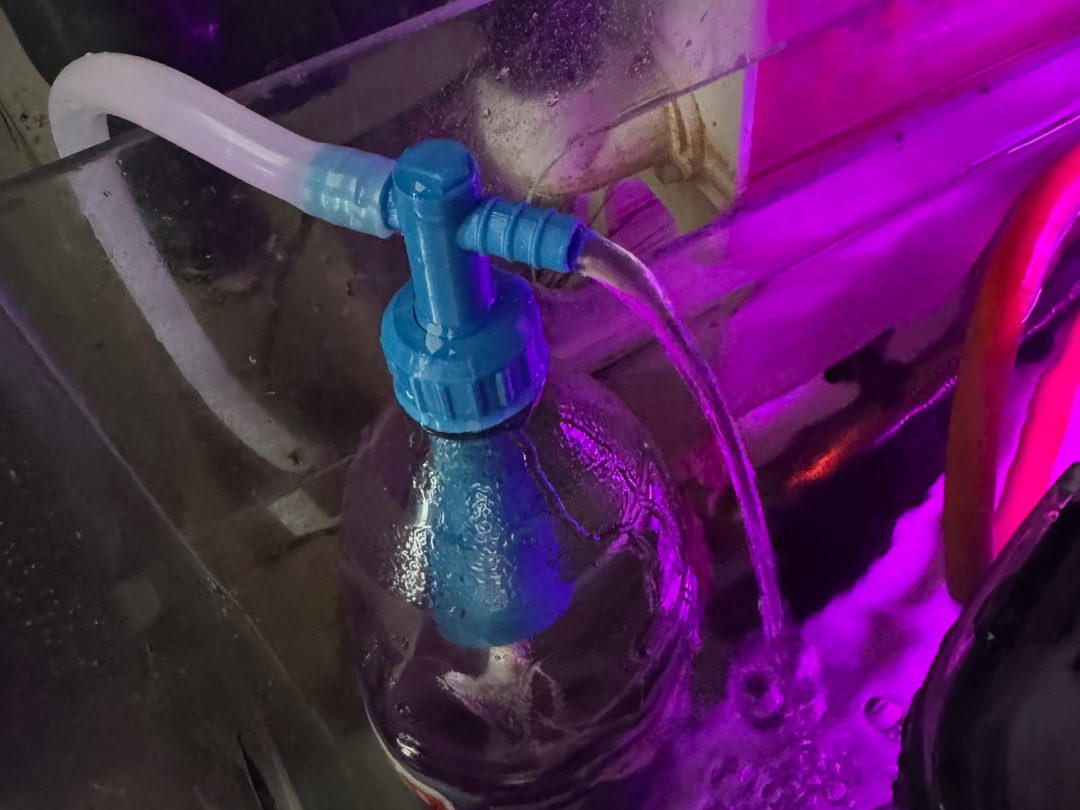 Media Filter (Any Bottle)