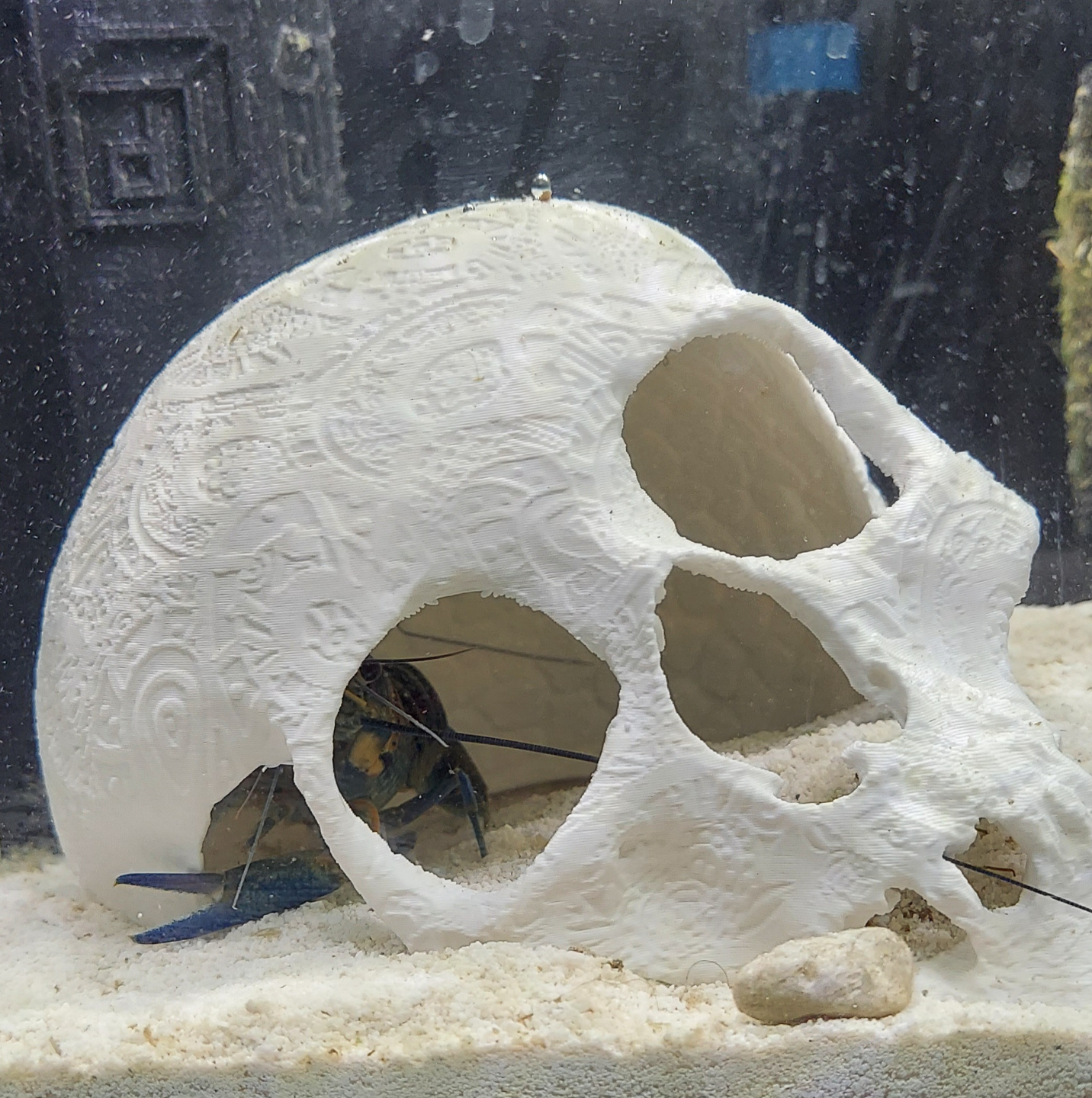 Broken skull for aquarium decoration
