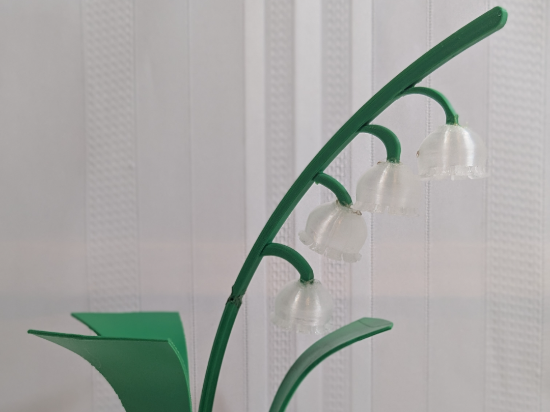 Lily of the Valley