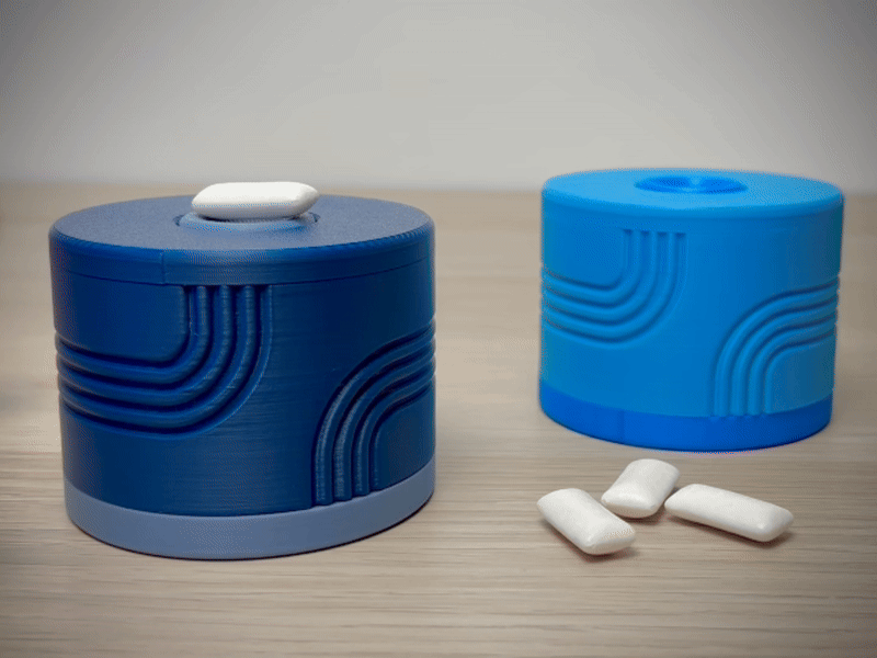 Gum Dispenser - With Lock | Gum Bottle | Gum Box