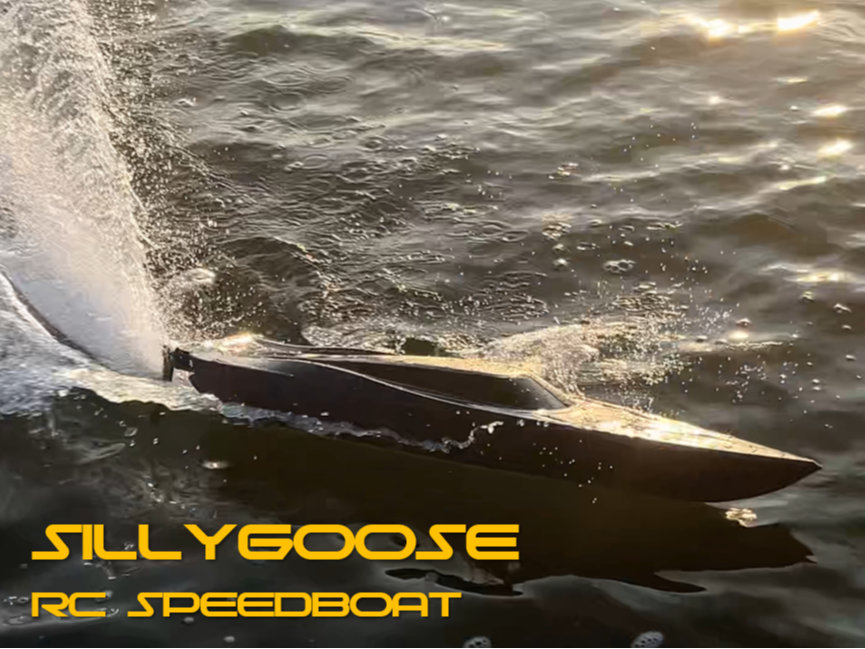 SillyGoose RC Speedboat