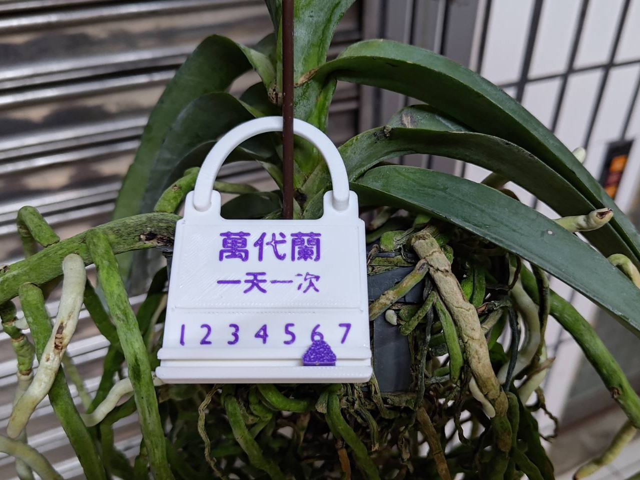 Plant Signs - Watering Frequency & Records