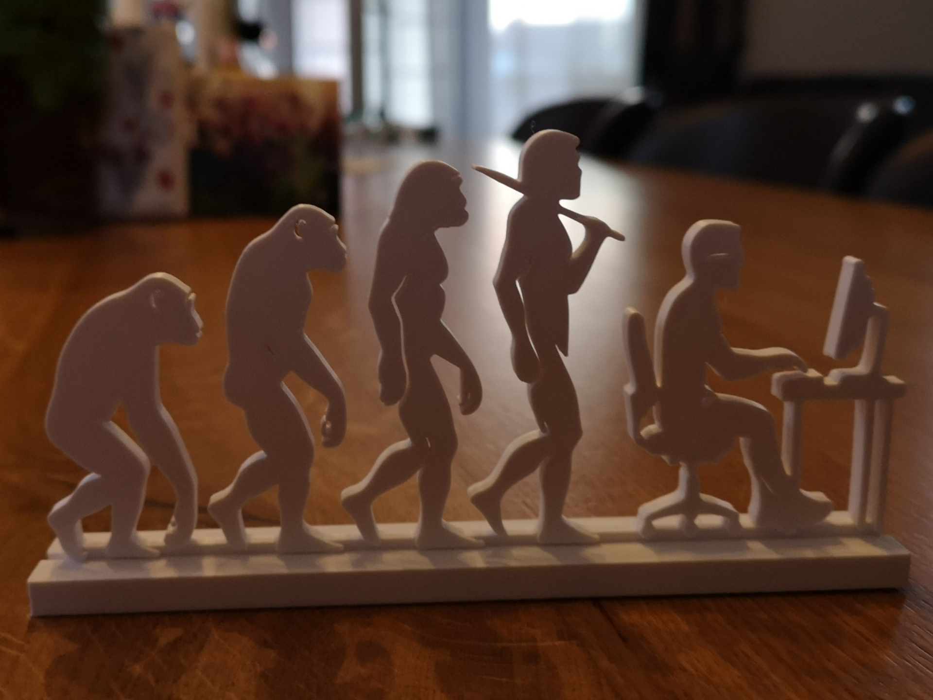 Human Evolution to IT Engineer