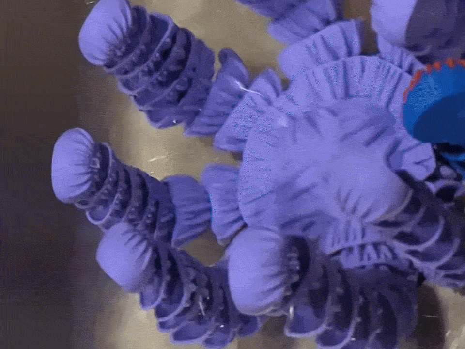 DiveStar: The Ultimate Engineered Pool & Bath Toy!