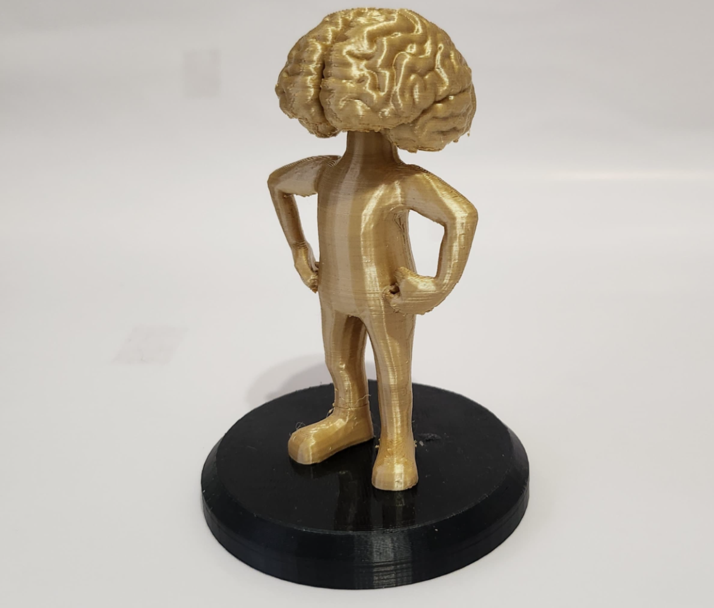 THE BRAIN