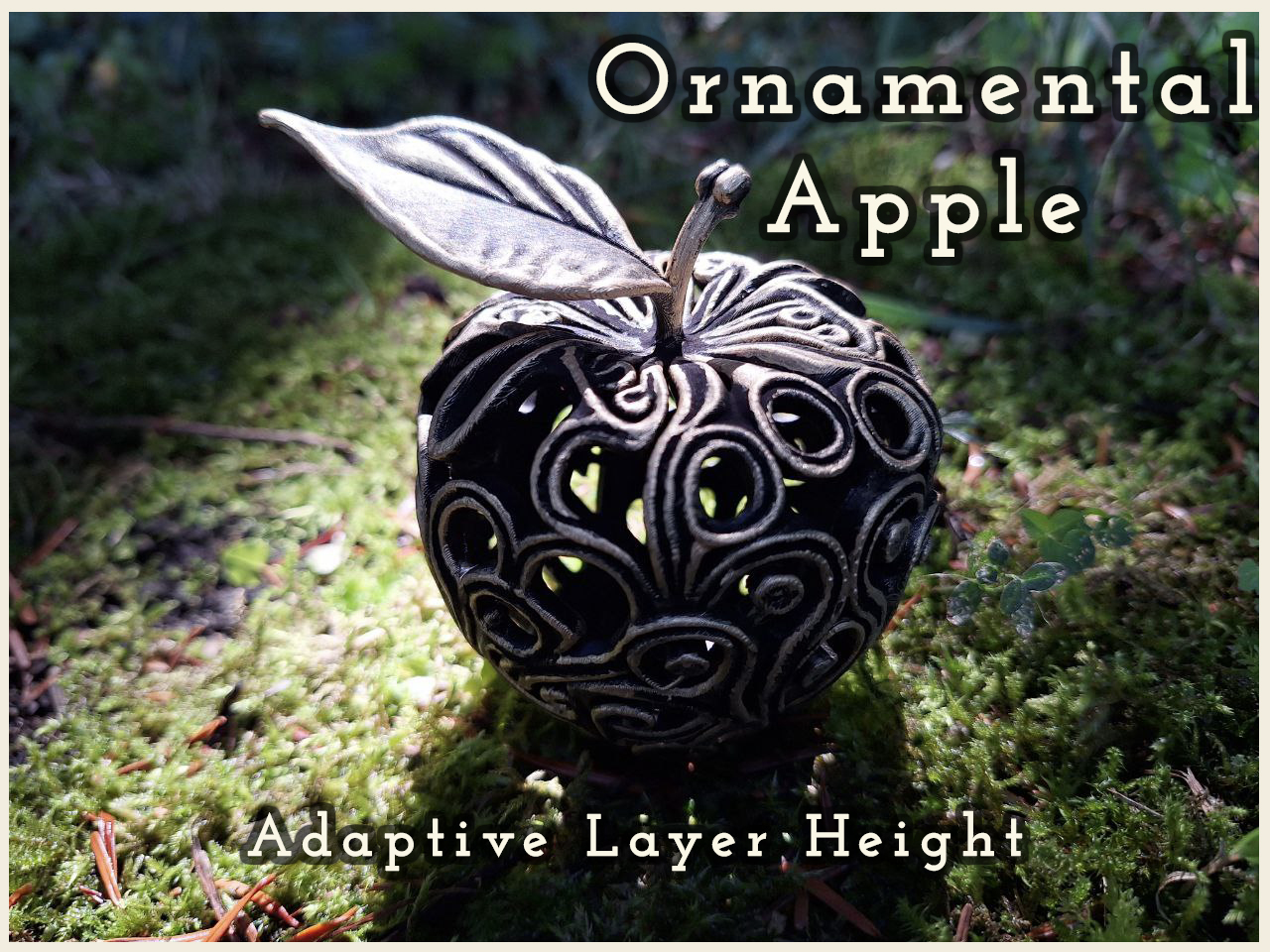 Ornamental Apple