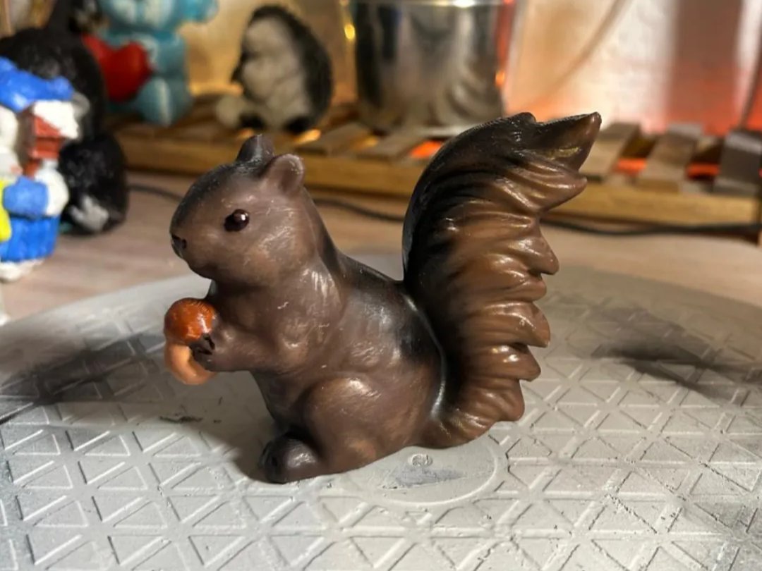 Eichhörnchen mit kleiner Eichel  Squirrel