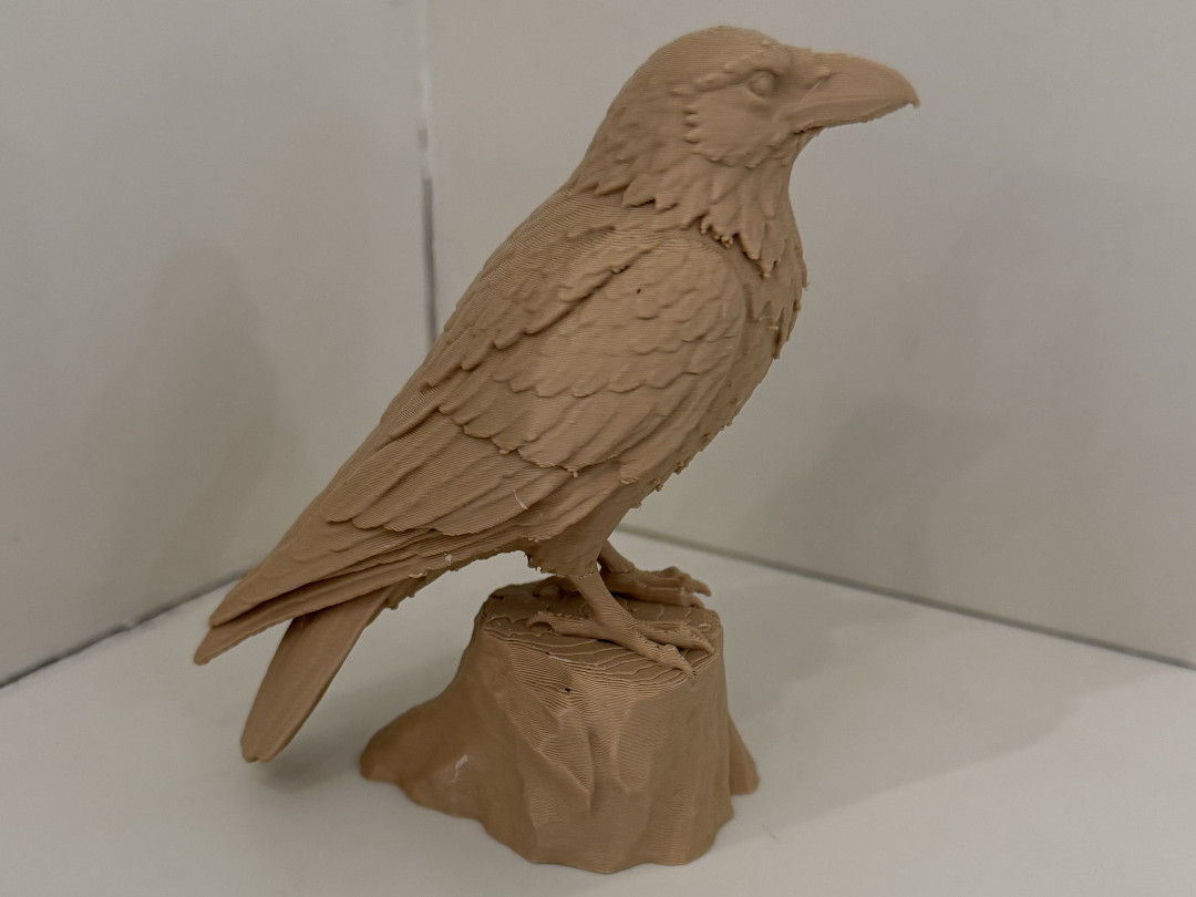 Raven