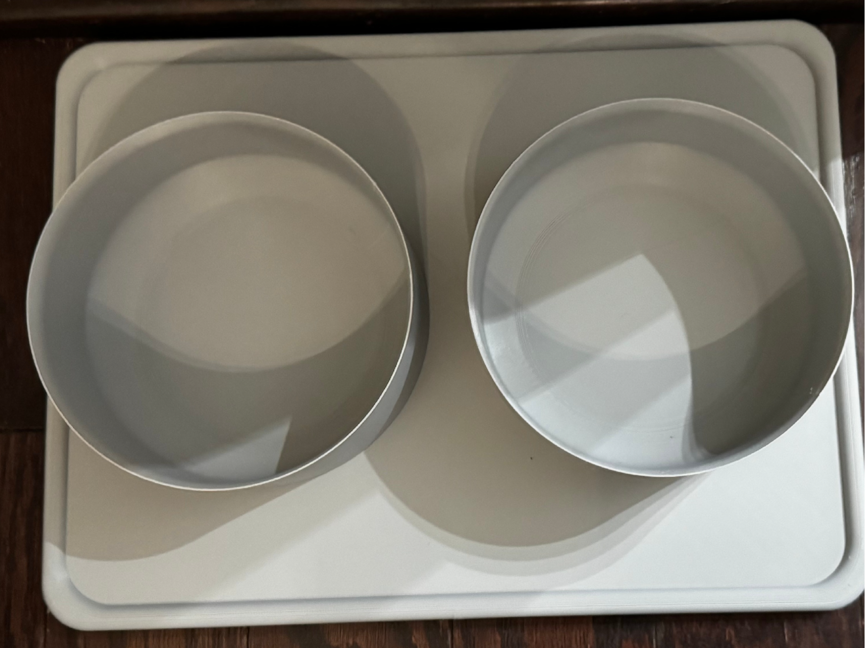 Pet Food Bowl and Tray combo with retainer