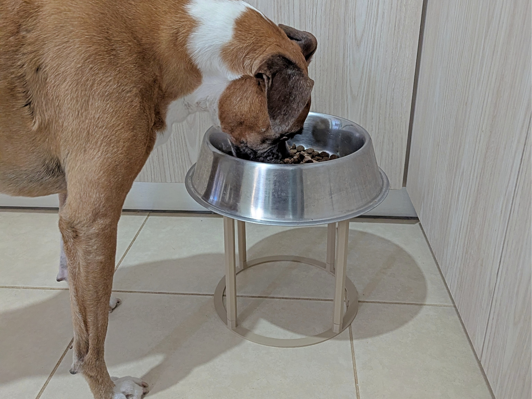 Dog Bowl Riser
