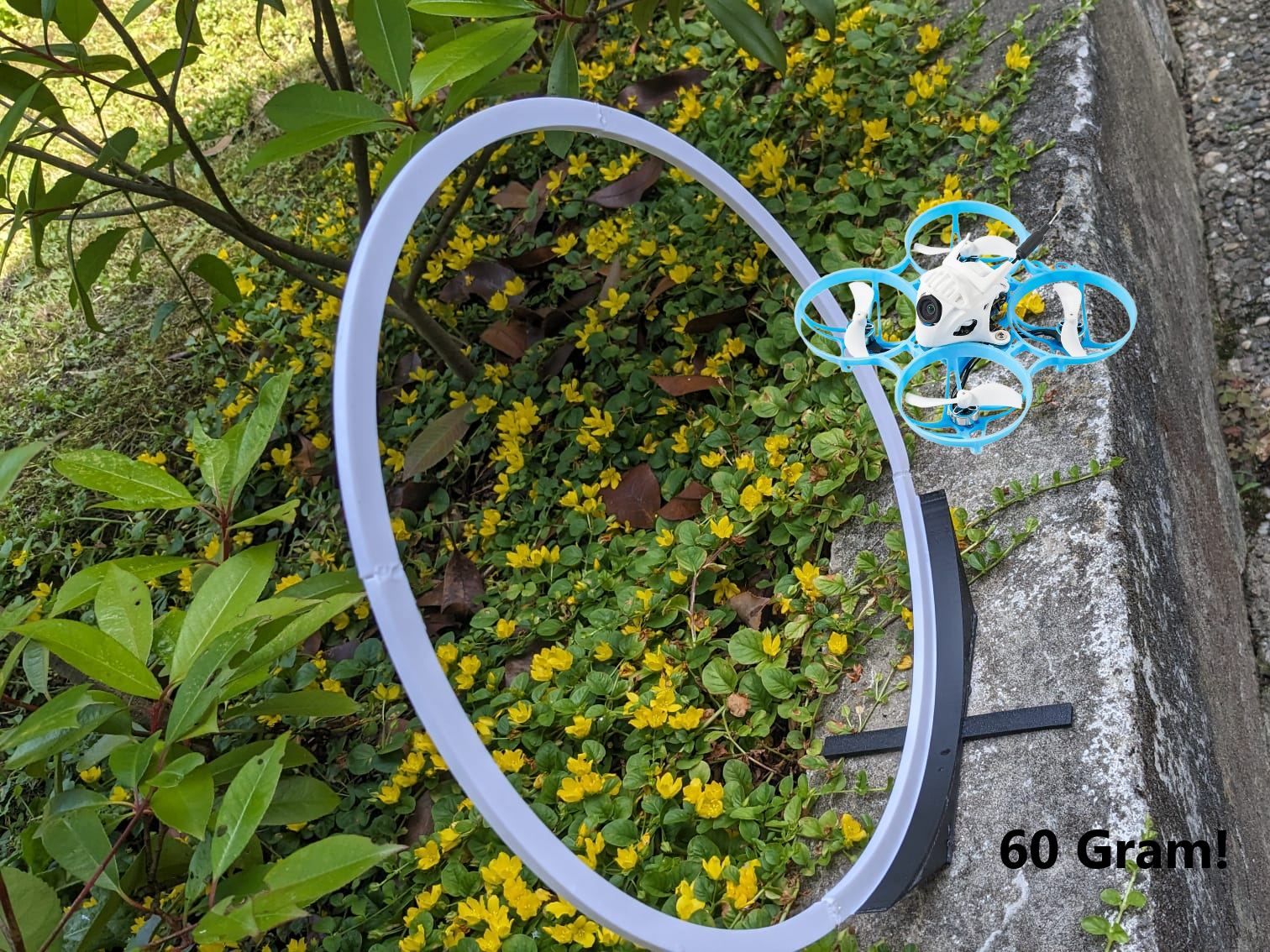 Tinywhoop Gate 30cm(11.8") Only 60g Filament!
