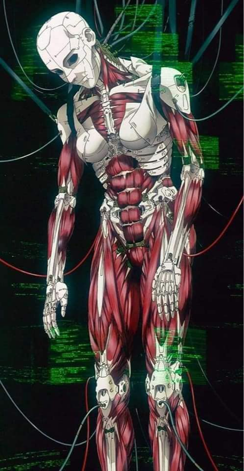 Ghost in the shell Cyborg