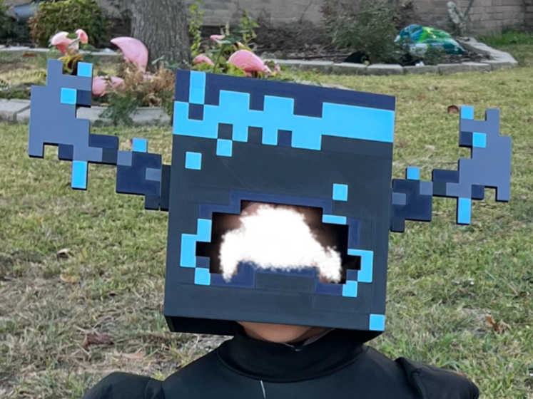Minecraft Warden Children's Mask