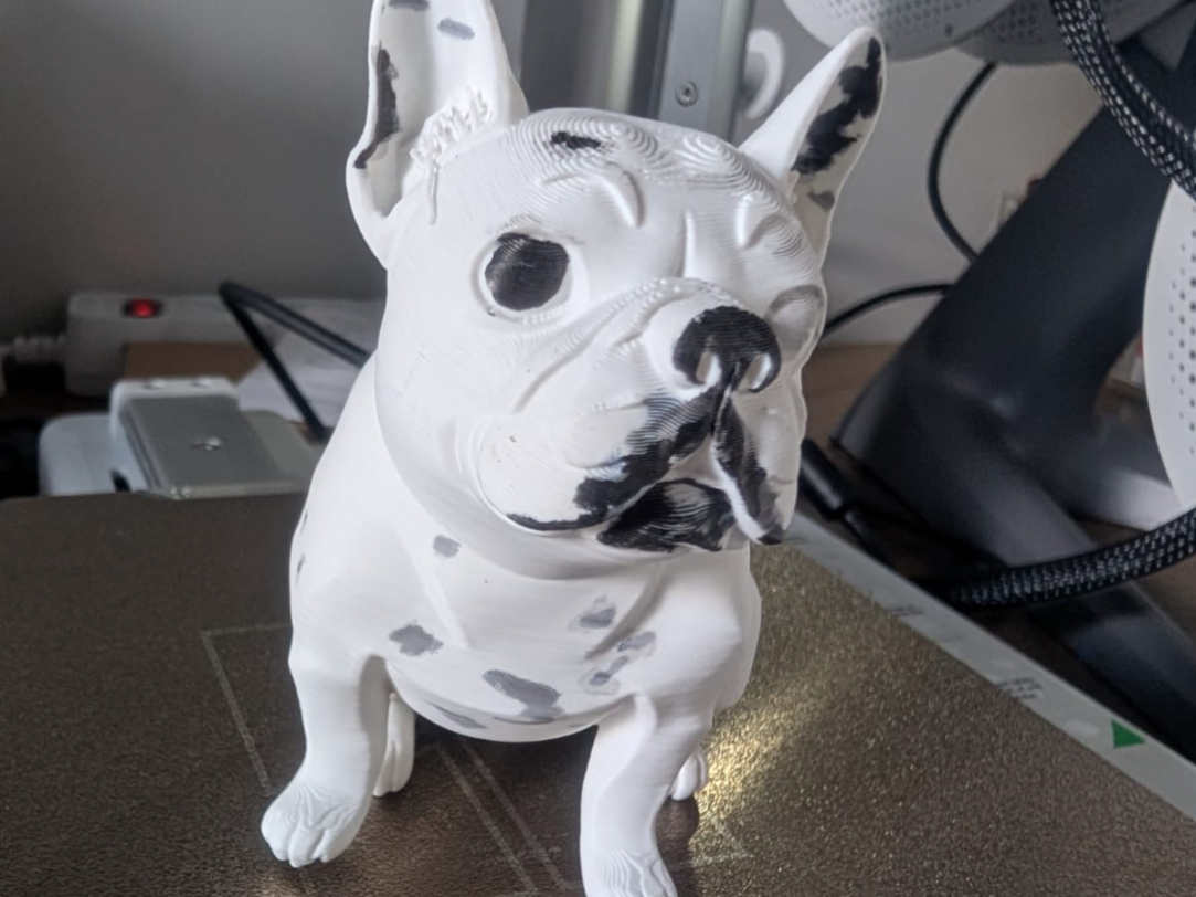 Buldog Francês