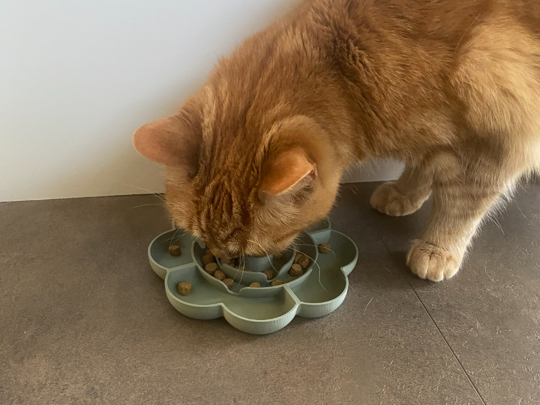 Flower Pet Slow Feeder Bowl for Cats and Small Dog