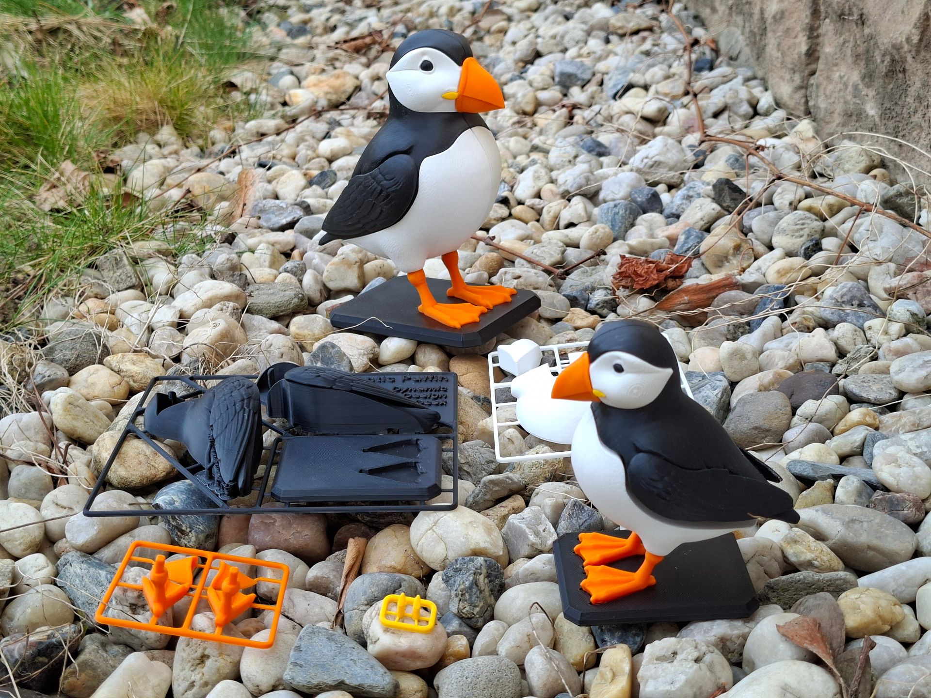 Atlantic Puffin Kit Card