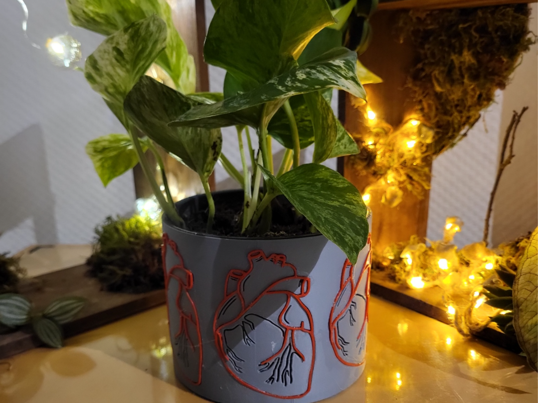 Multicolour with zero waste heart planter