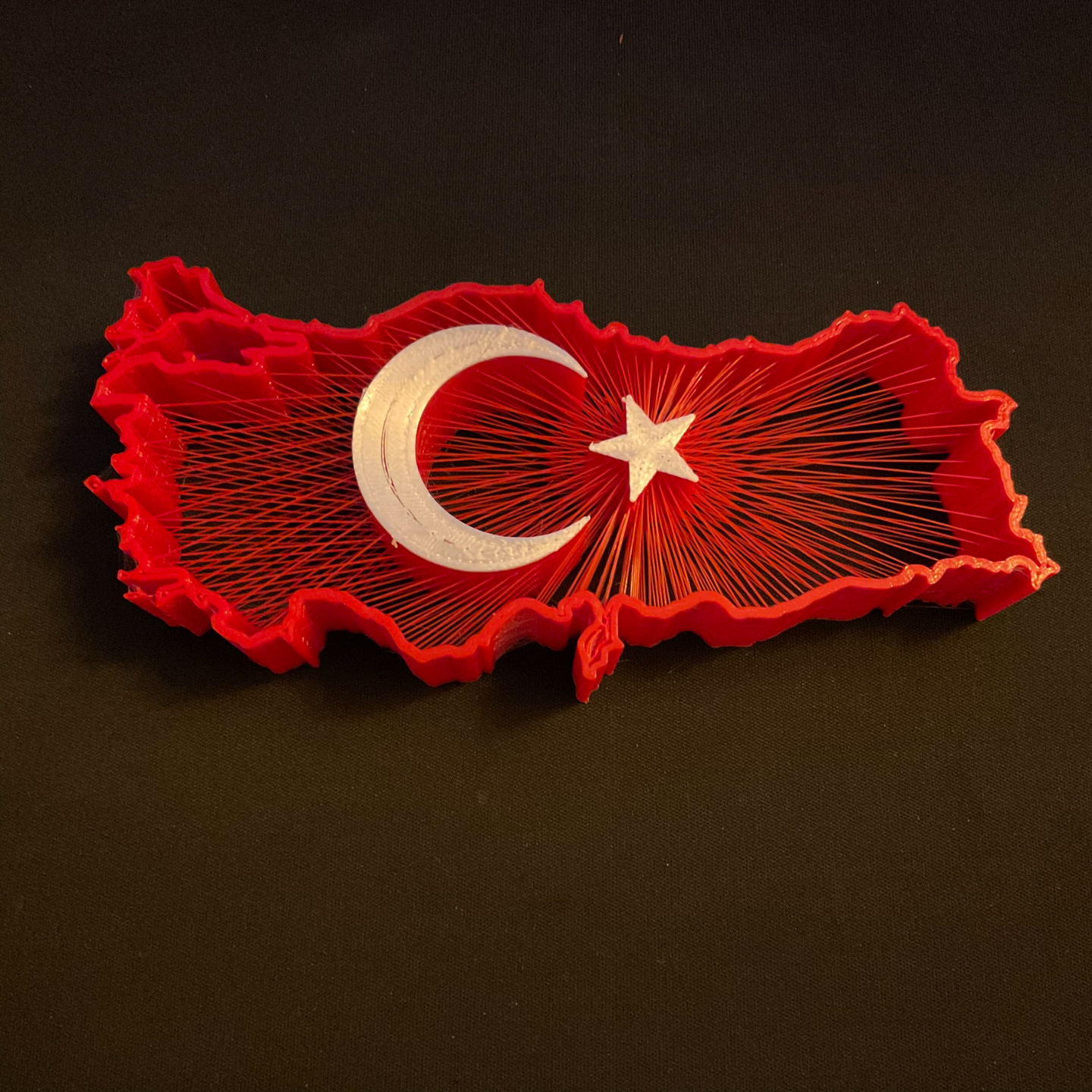 Turkey String Art