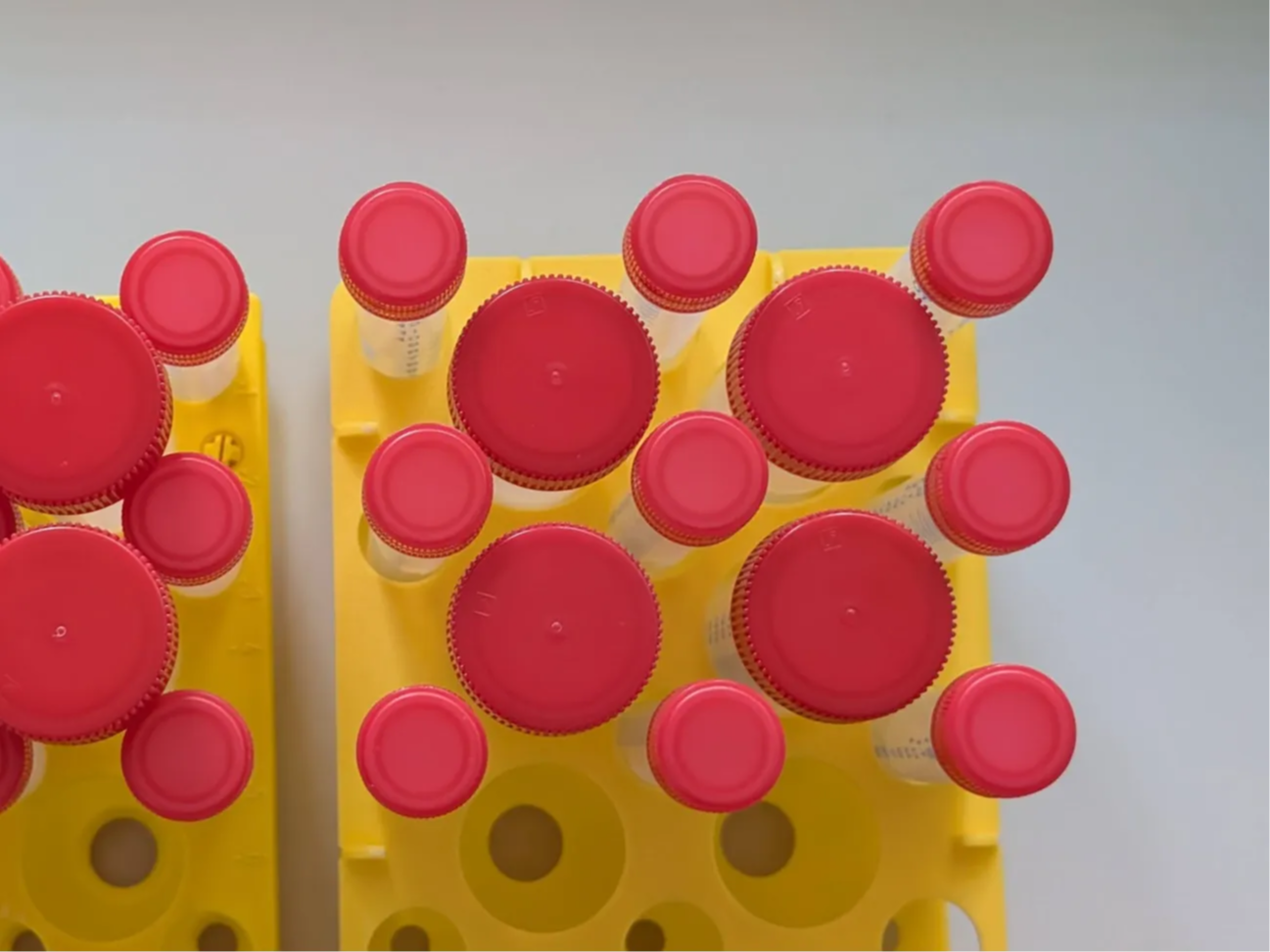 15 and 50mL Falcon Centrifuge Tubes Holder