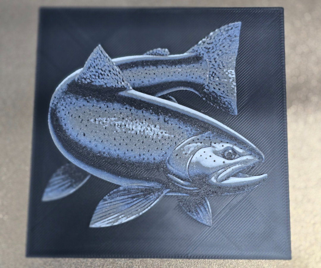 Rainbow Trout