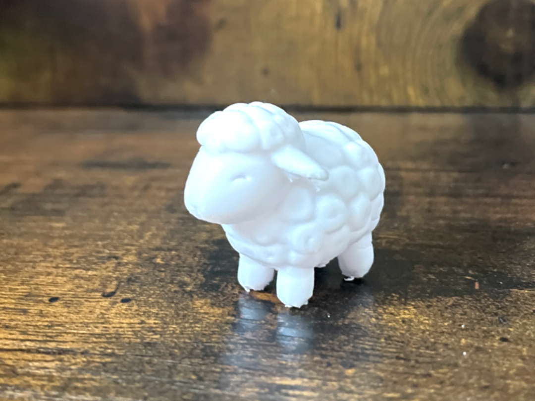 Sheep