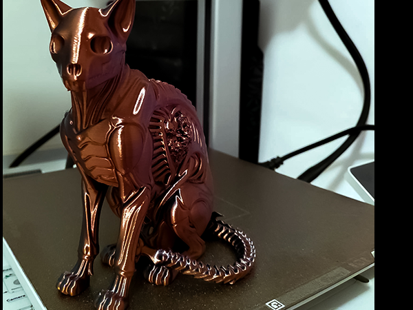 Biomechanical_Cat