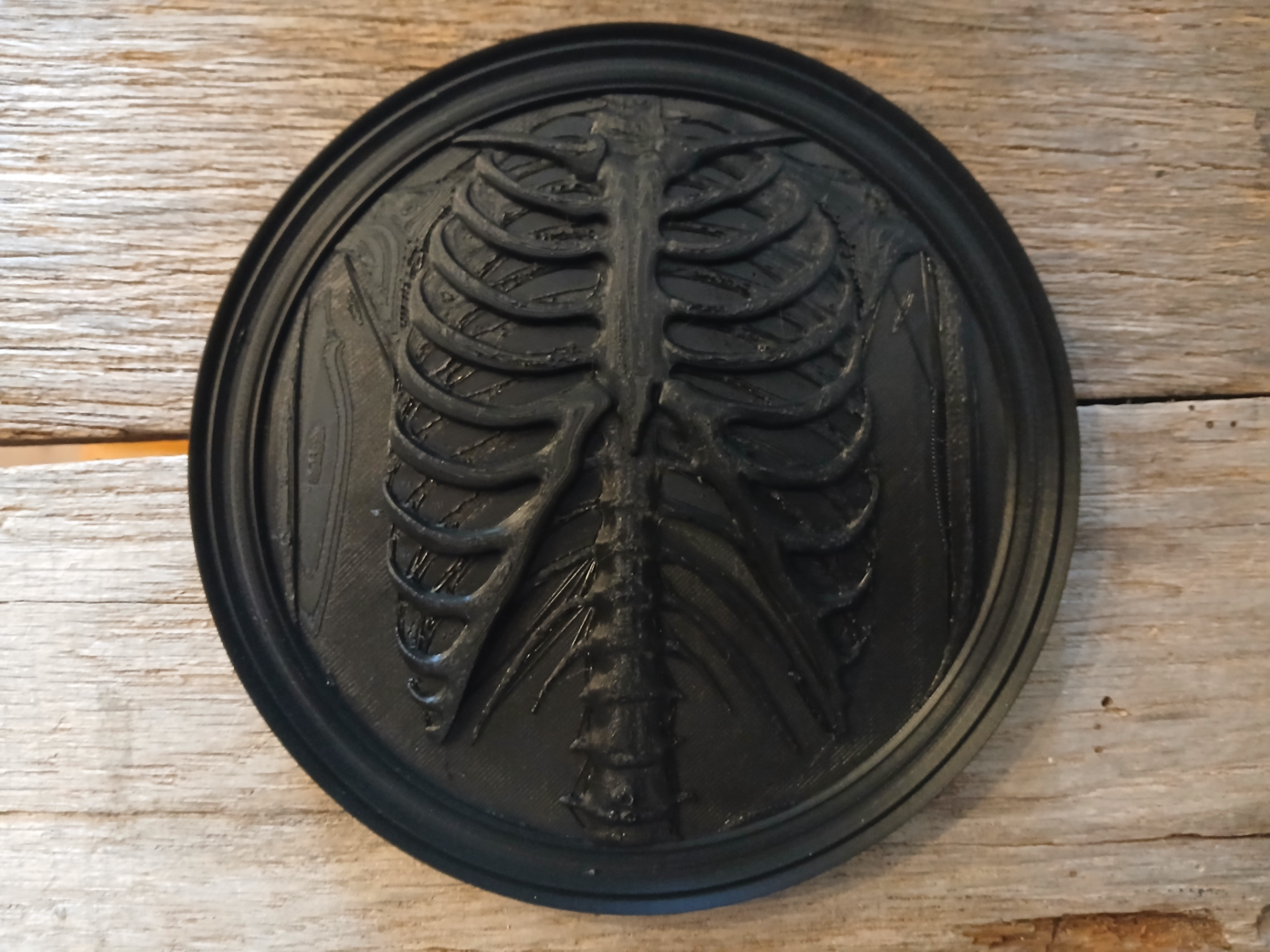wallart ribcage