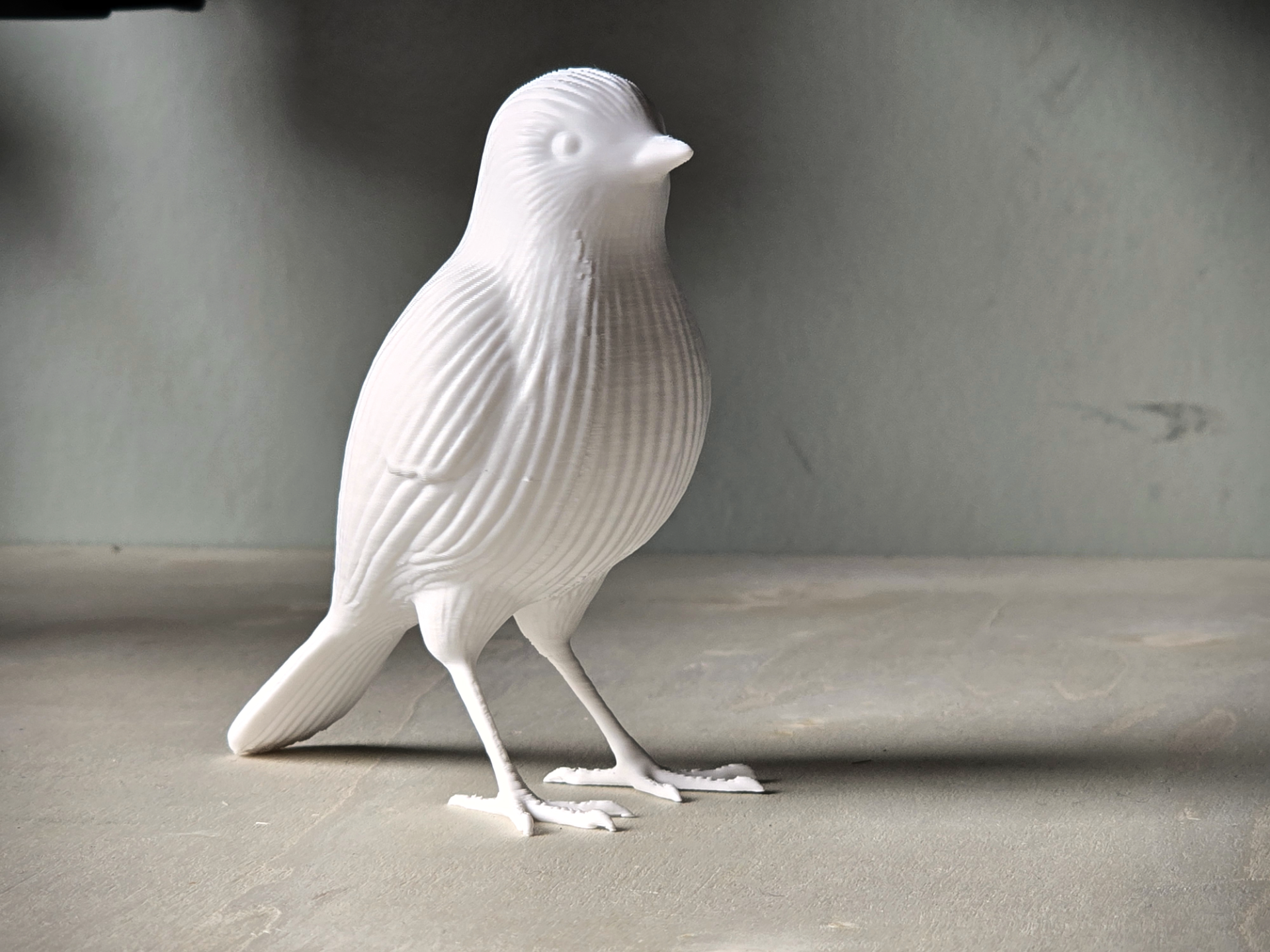 Nordic Ribbed Bird