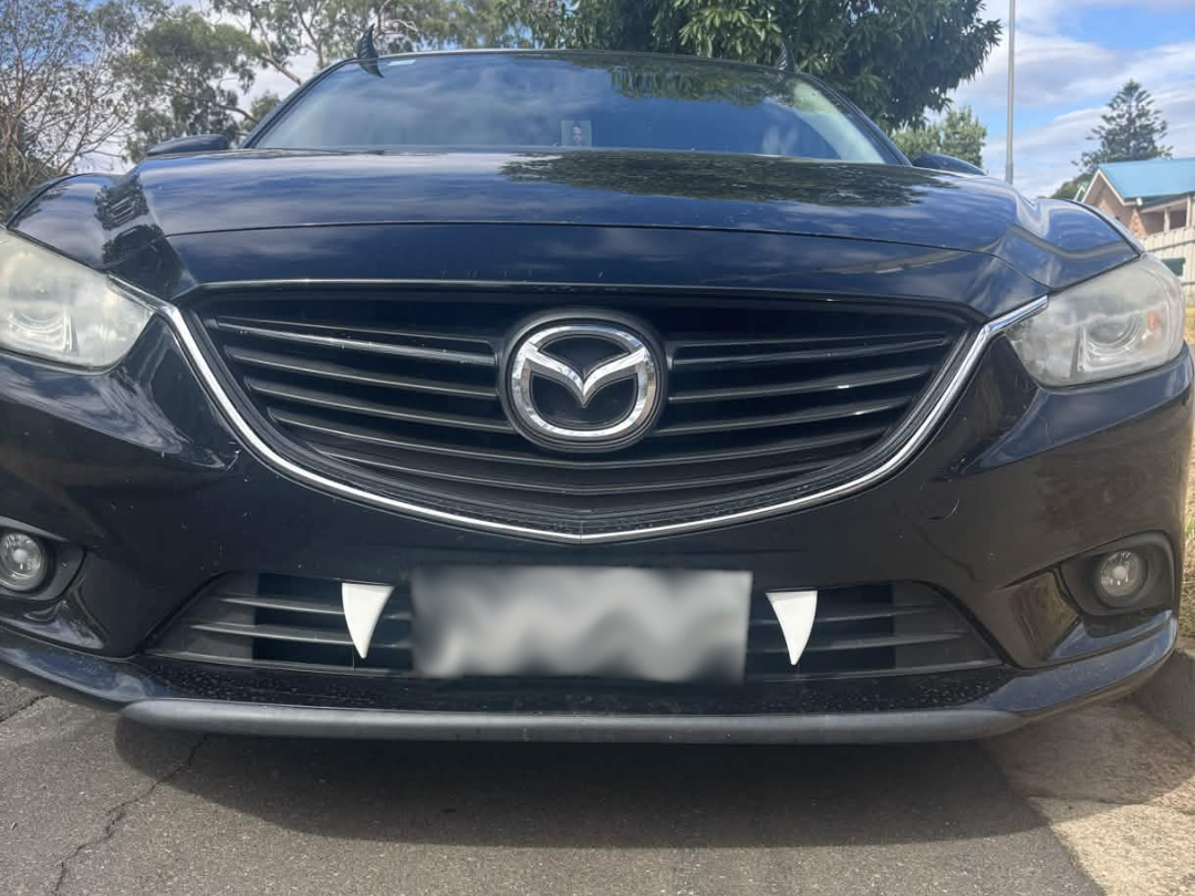 Car Fangs