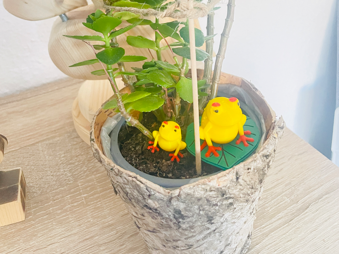Kleiner Frosch / süßer Frosch auf Seerosenblatt