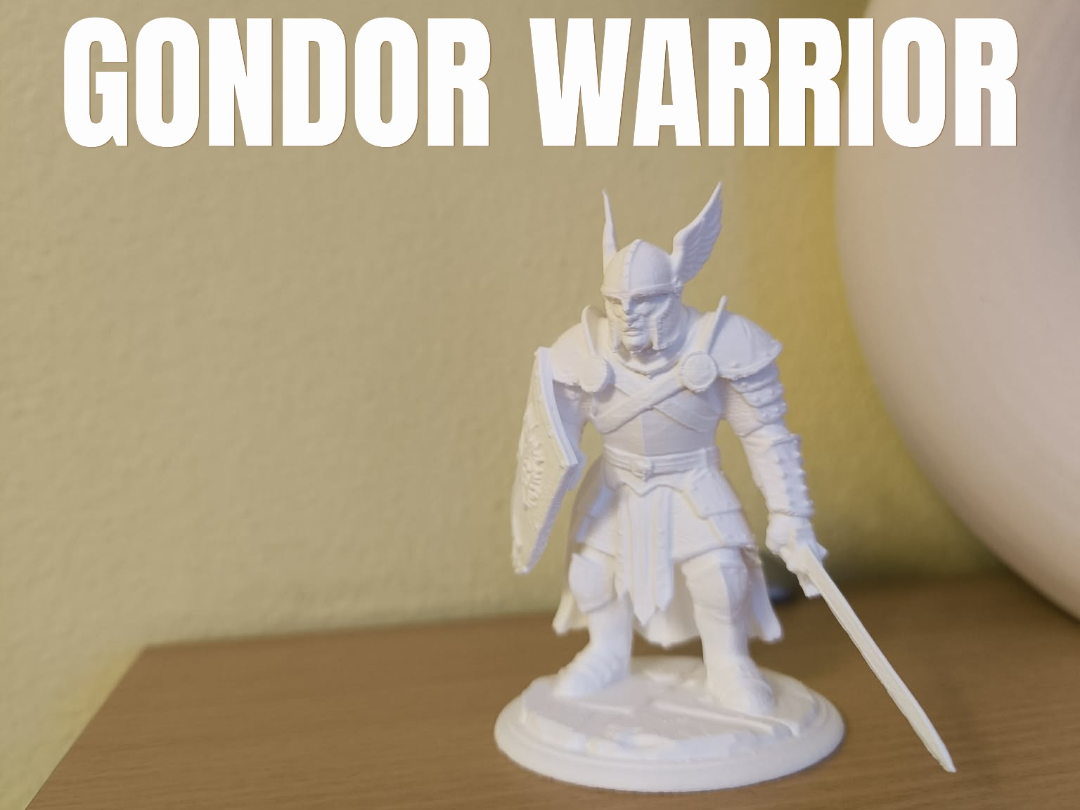 Gondor warrior