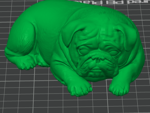 English Bulldog