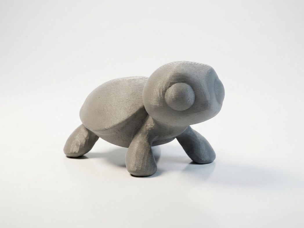 Tortoise
