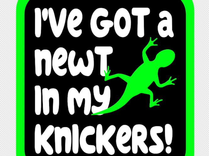 Matilda Keyring - I've got a newt in my knickers!