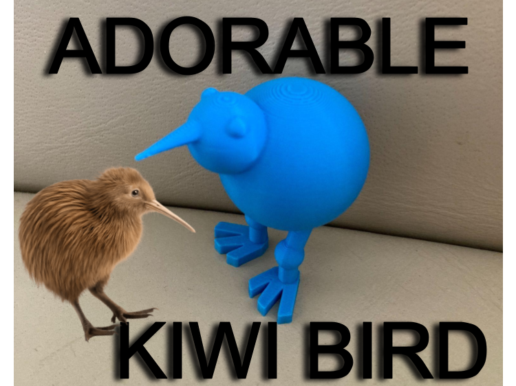 Adorable Mini Kiwi Bird